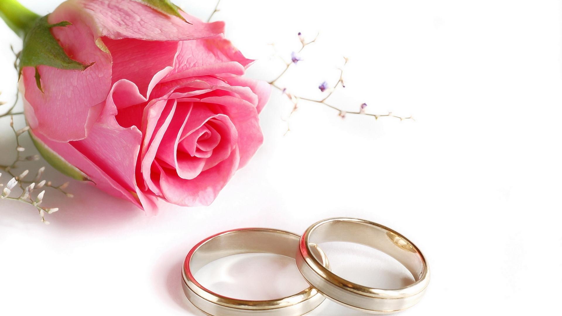 Wedding Rings Rose Flower HD Wallpaper
