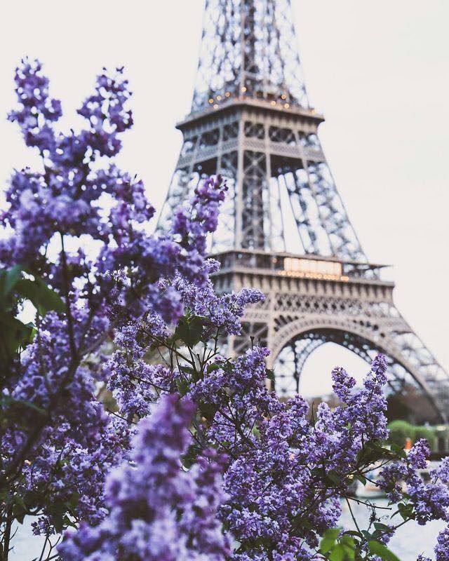 Eiffel Purple Color Par S Paris Torre