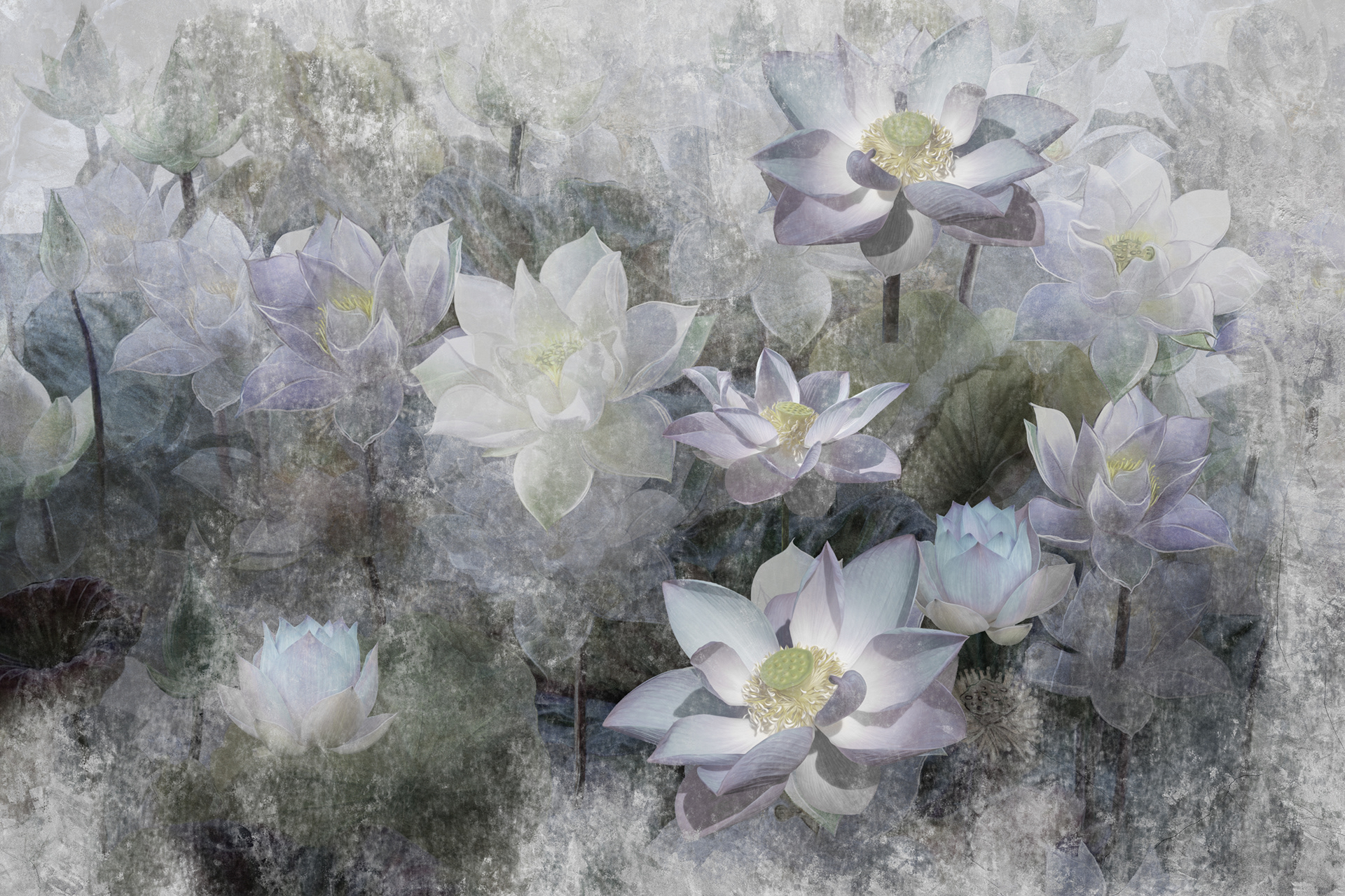 Lotus Wallpaper On