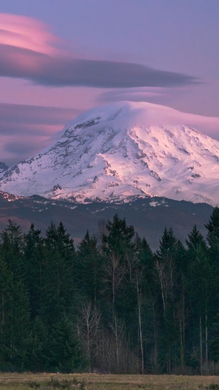 Mount Rainier Seattle Forests Landscapes Mountains Wallpaper