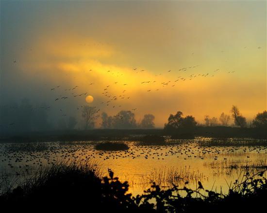 Photo Essay Sunrise From The Duck Blind