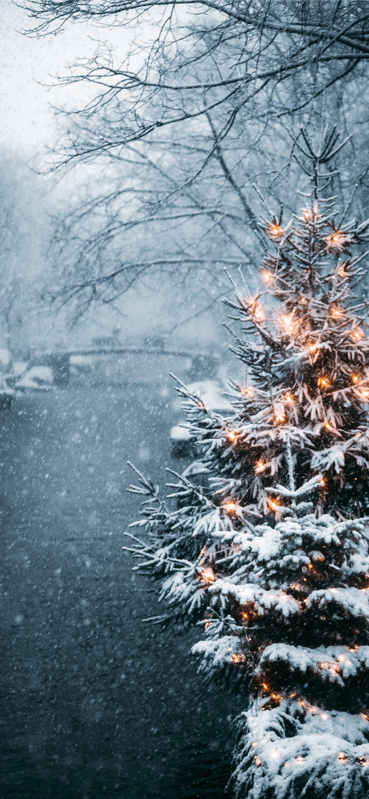 Christmas tree covered with snow iPhone Wallpapers Free Download