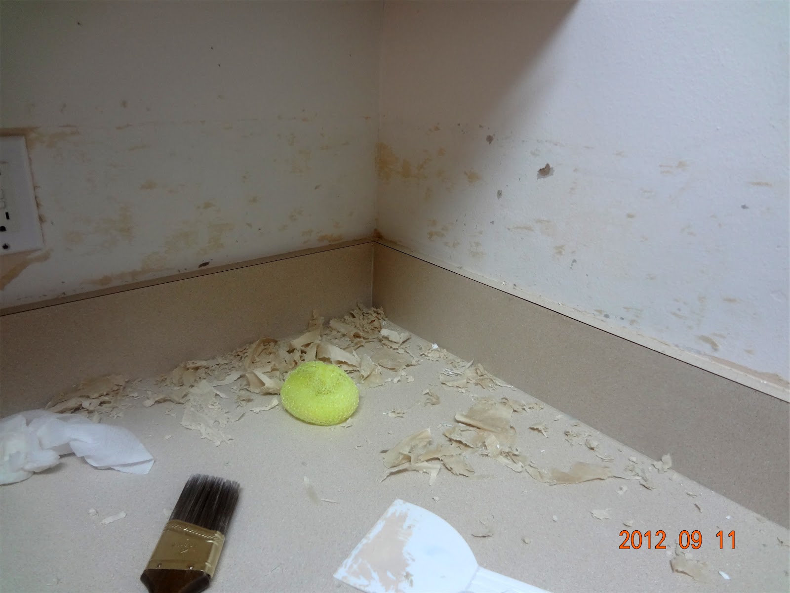 [50+] Removing Vinyl Wallpaper from Drywall on WallpaperSafari