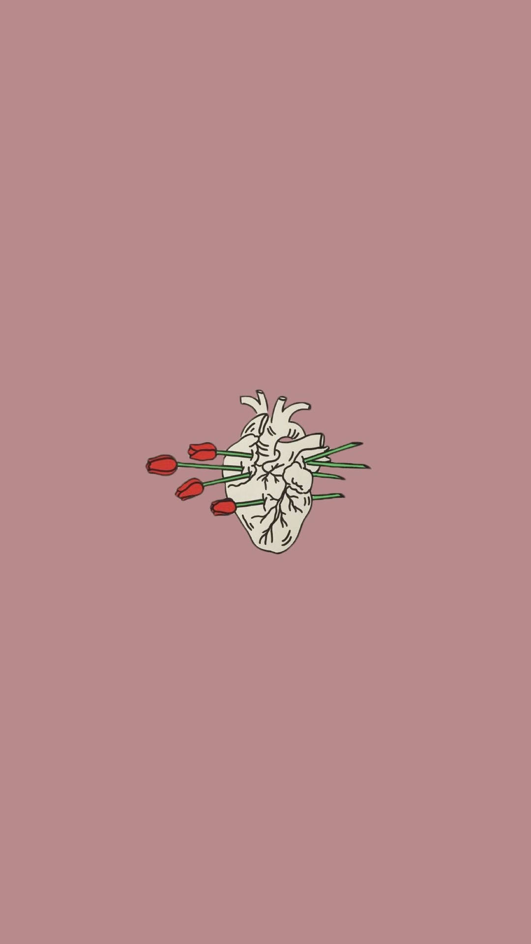 Plain Aesthetic Wallpaper