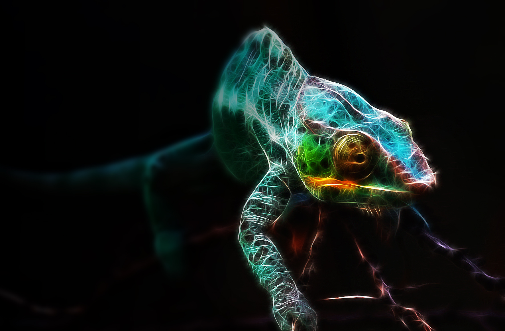 Panther Chameleon Wallpaper By Sand