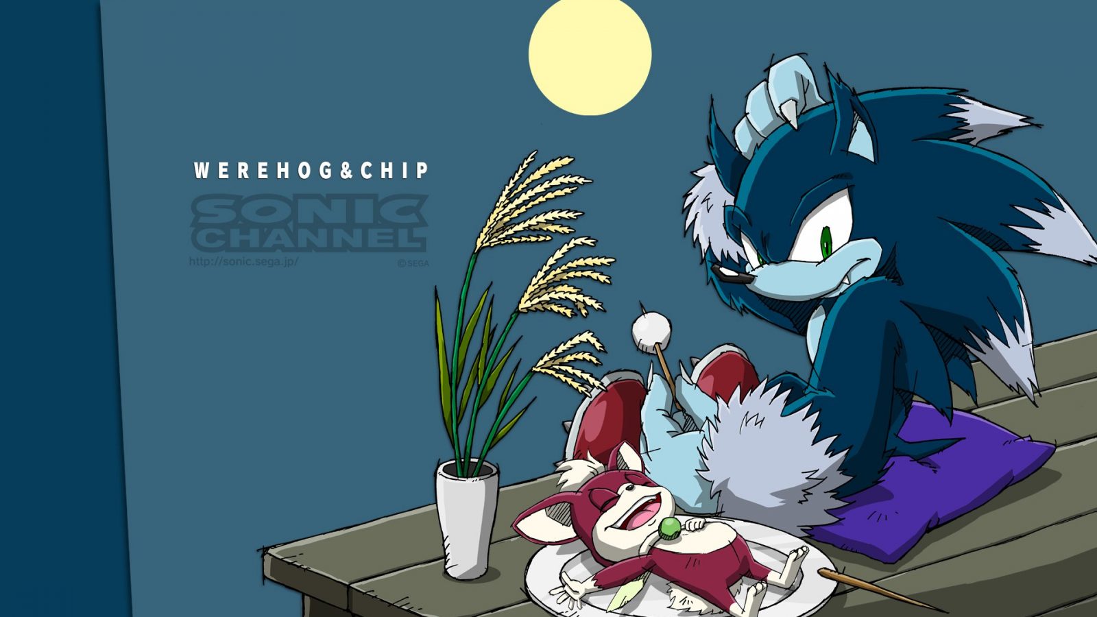 Sonic Unleashed The Hedgehog