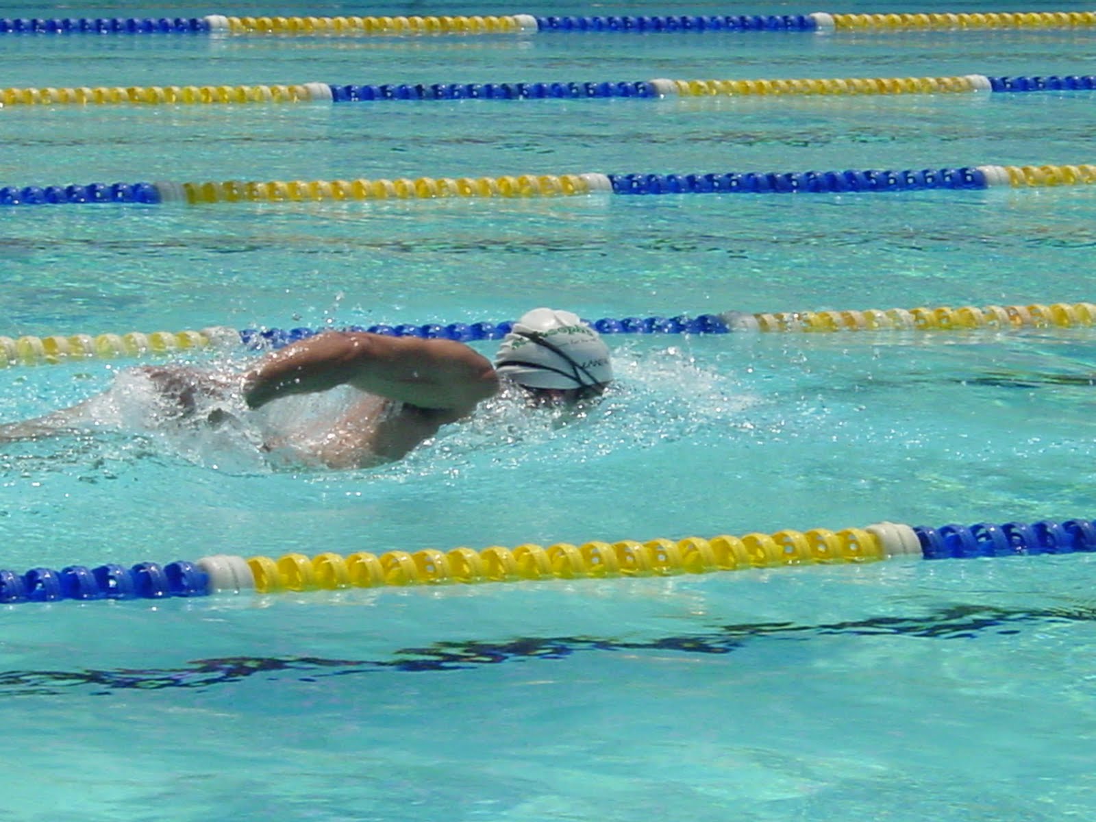 Miranda Leblanc Swimming Wallpaper
