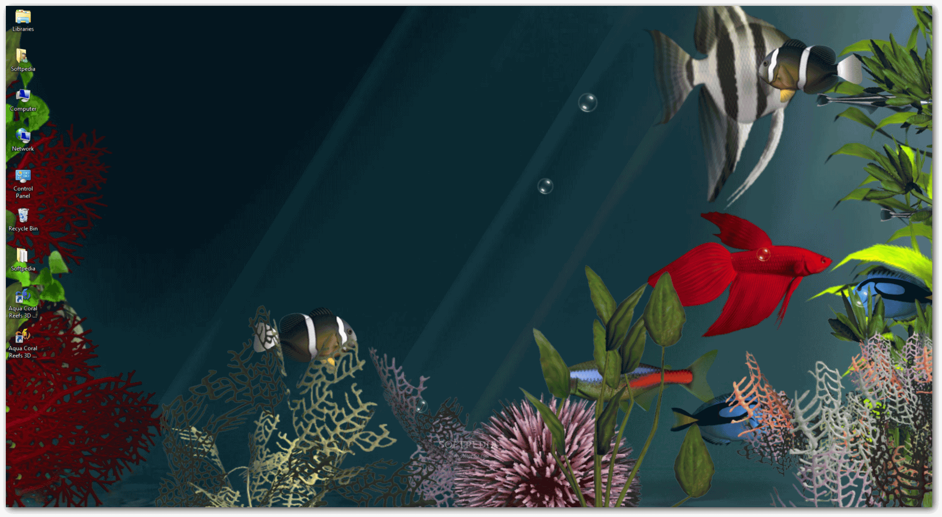 Screenshot This Is How The Aqua Coral Reefs 3d Animated Wallpaper