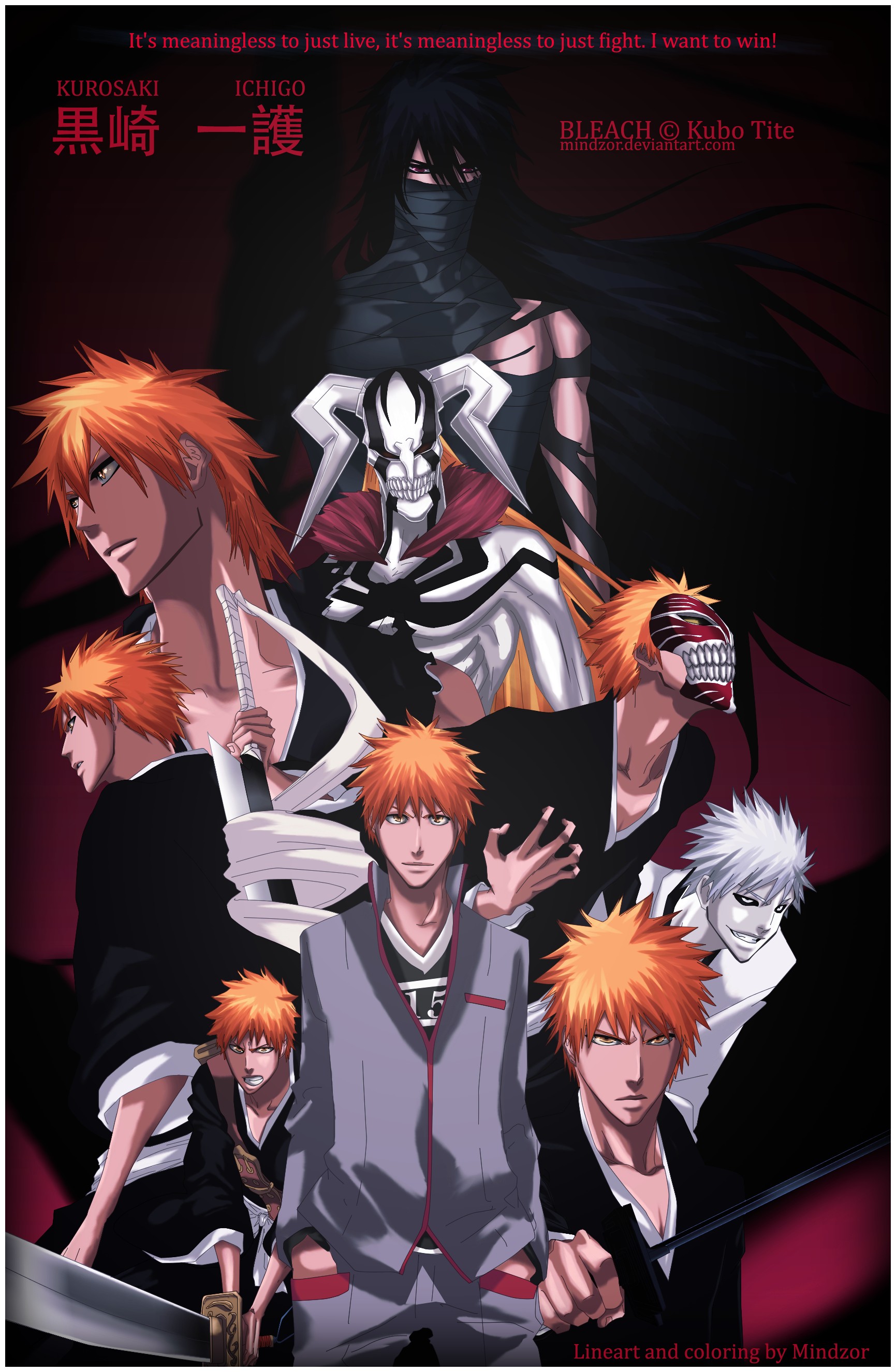 Kurosaki Ichigo Wallpaper