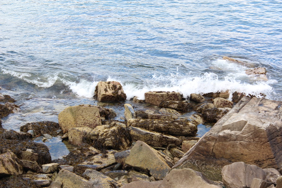 Maine Wallpaper
