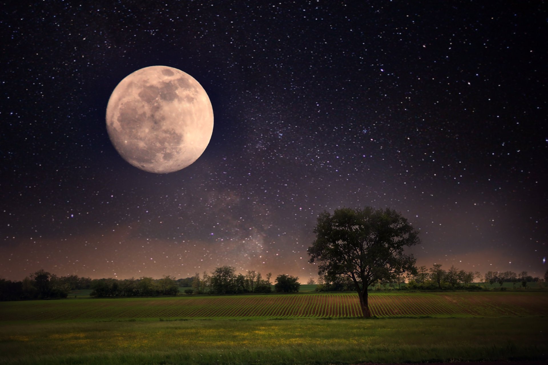 Moon Night Landscape Stars Full Sky Beautiful Scene Nature