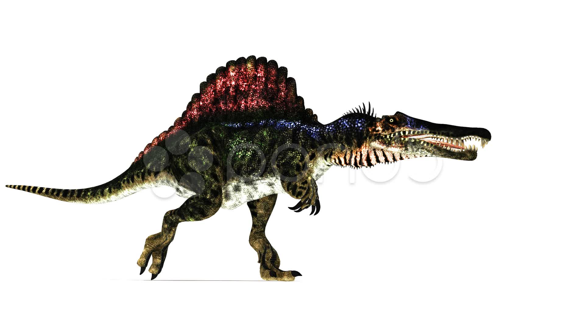 Spinosaurus Dinossauro Videos HD V Deo