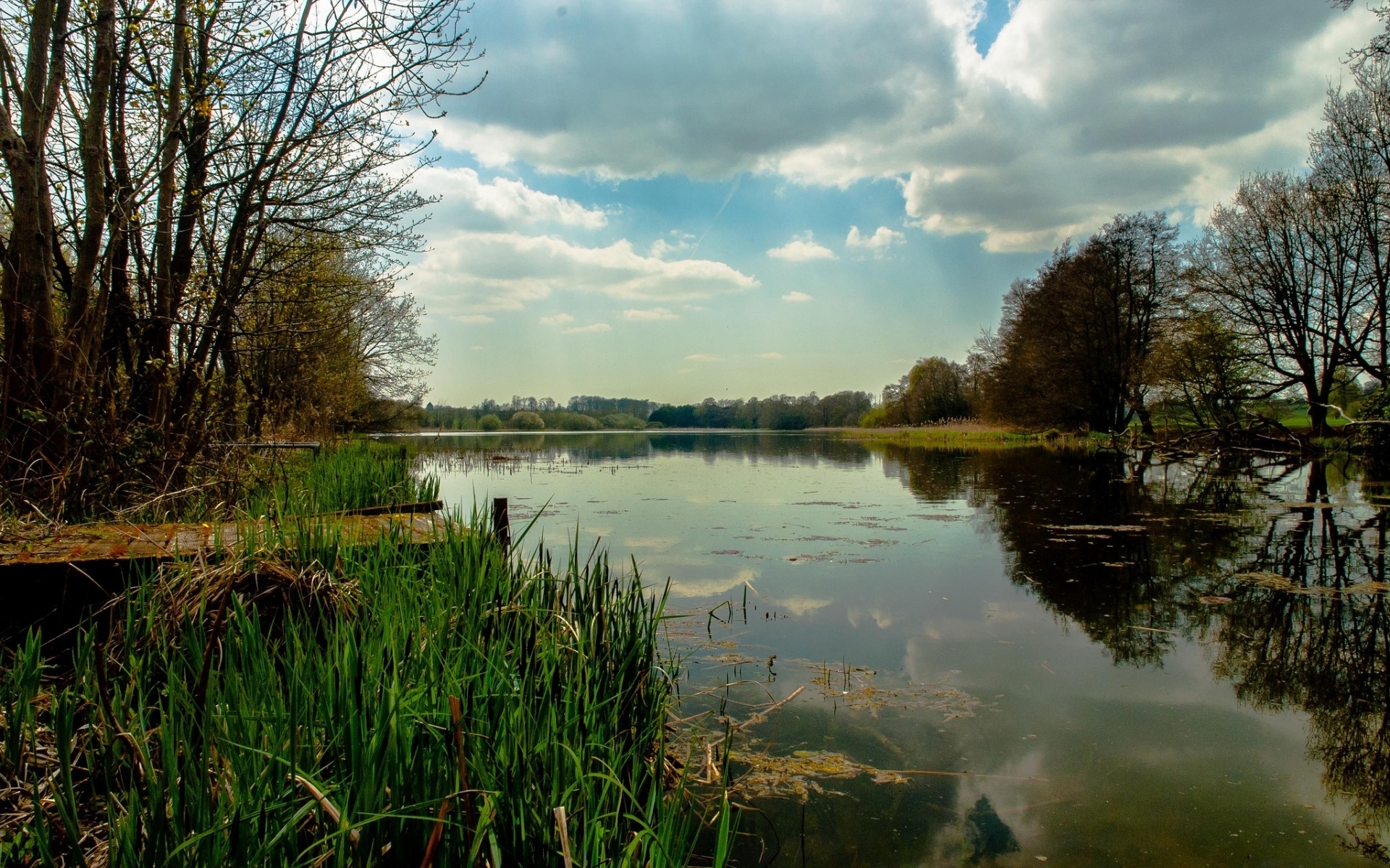 Stunning Pond Wallpaper