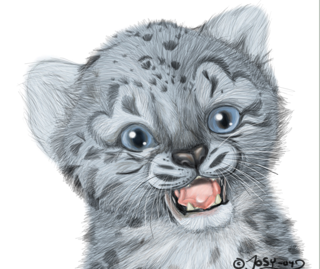 Snow Leopard Cub By Feathers Of Love