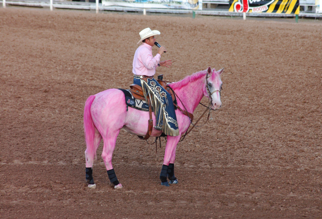 Tough Enough To Wear Pink Horse Leter Buck Cologne Celebrating