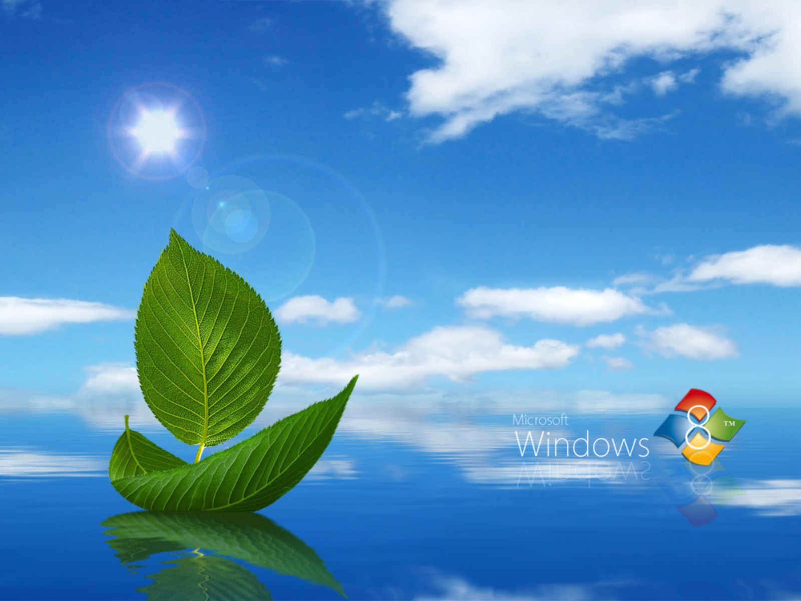 Flexy Wallpaper Windows 8 Wallpaper 1600x1200