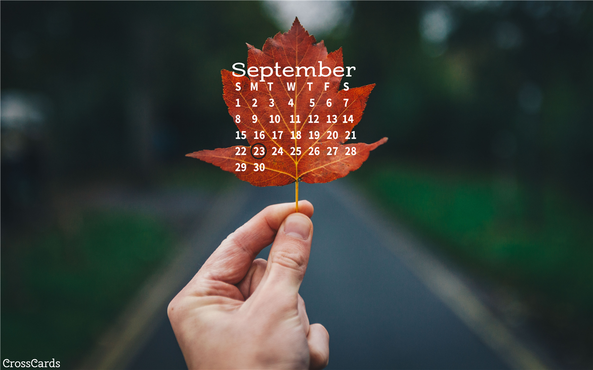 Beautiful September Desktop Mobile Wallpaper Background