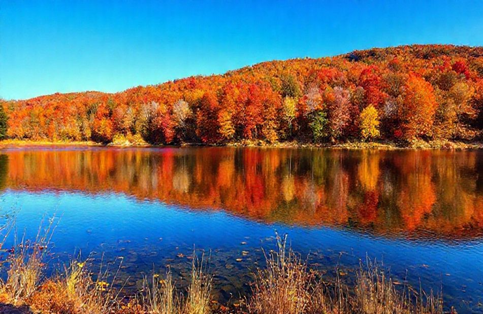 Windows Wallpaper