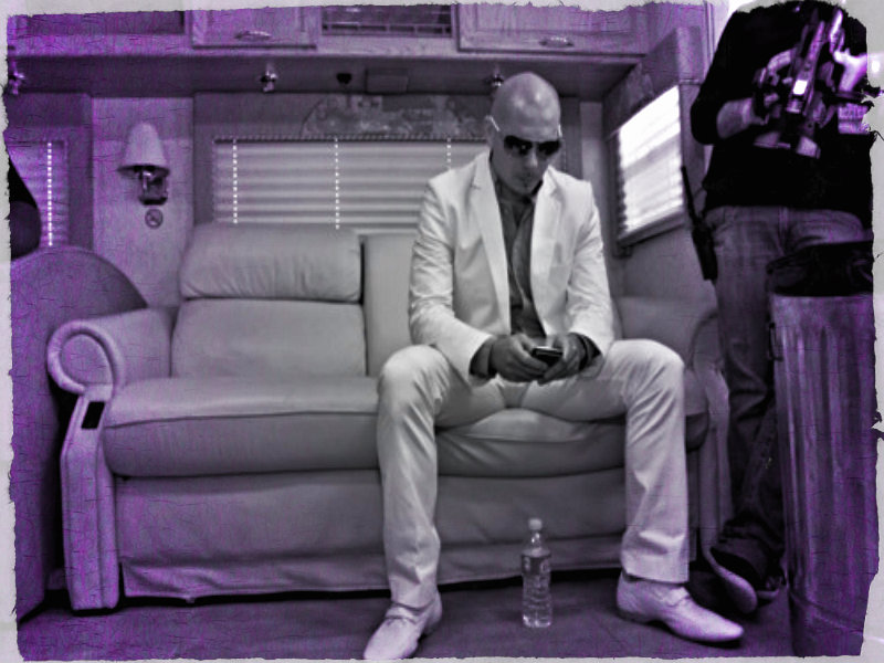 Pitbull   Pitbull rapper Wallpaper 32975479