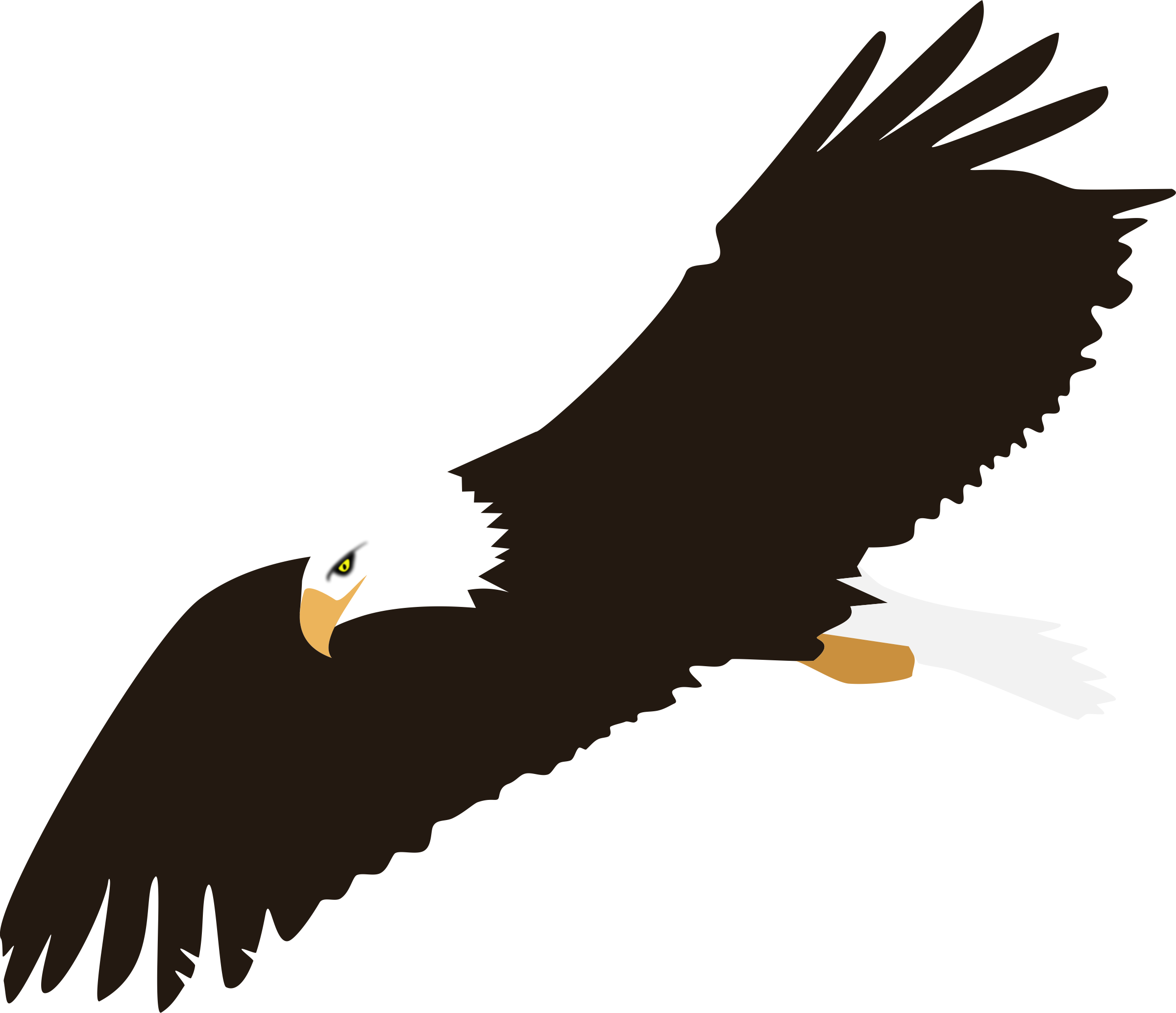 Soaring Eagle No Background Icons Png And S