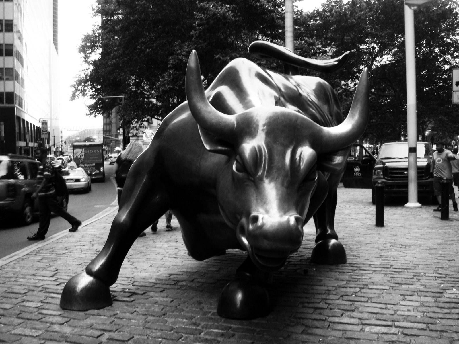 Wall Street Bull Wallpaper Place
