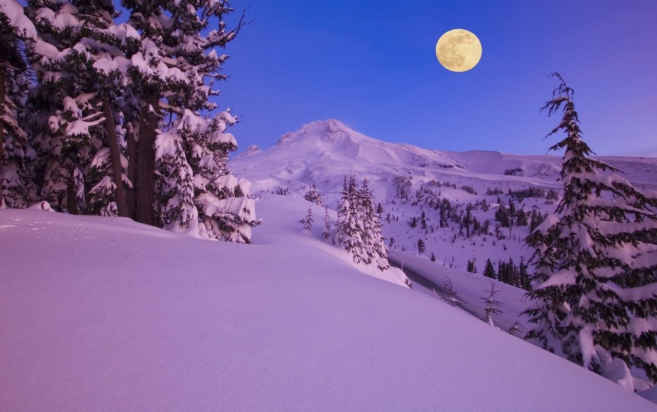 Winter Aesthetic Wallpaper