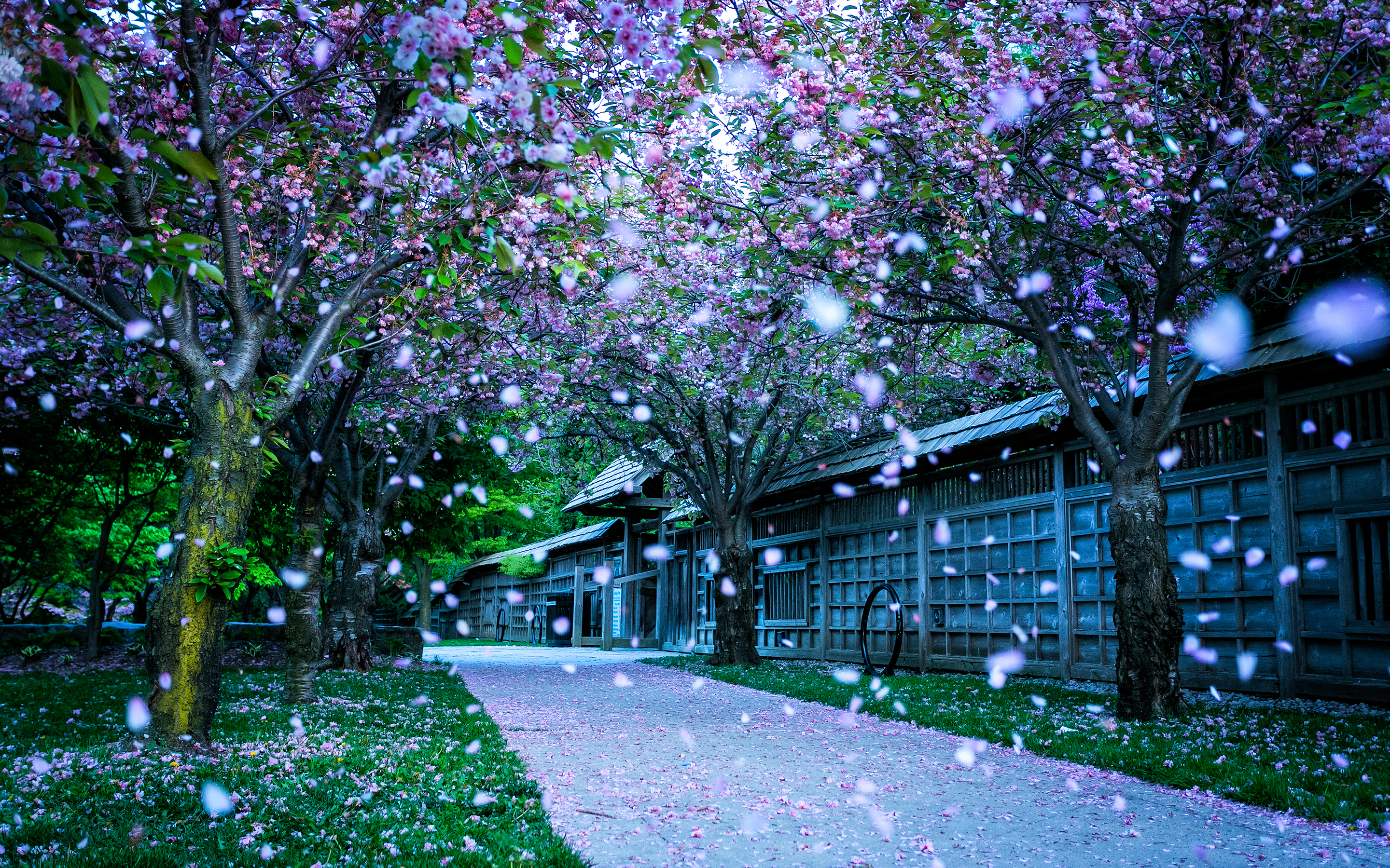 Mississauga Kariya Park Canada Wallpaper HD