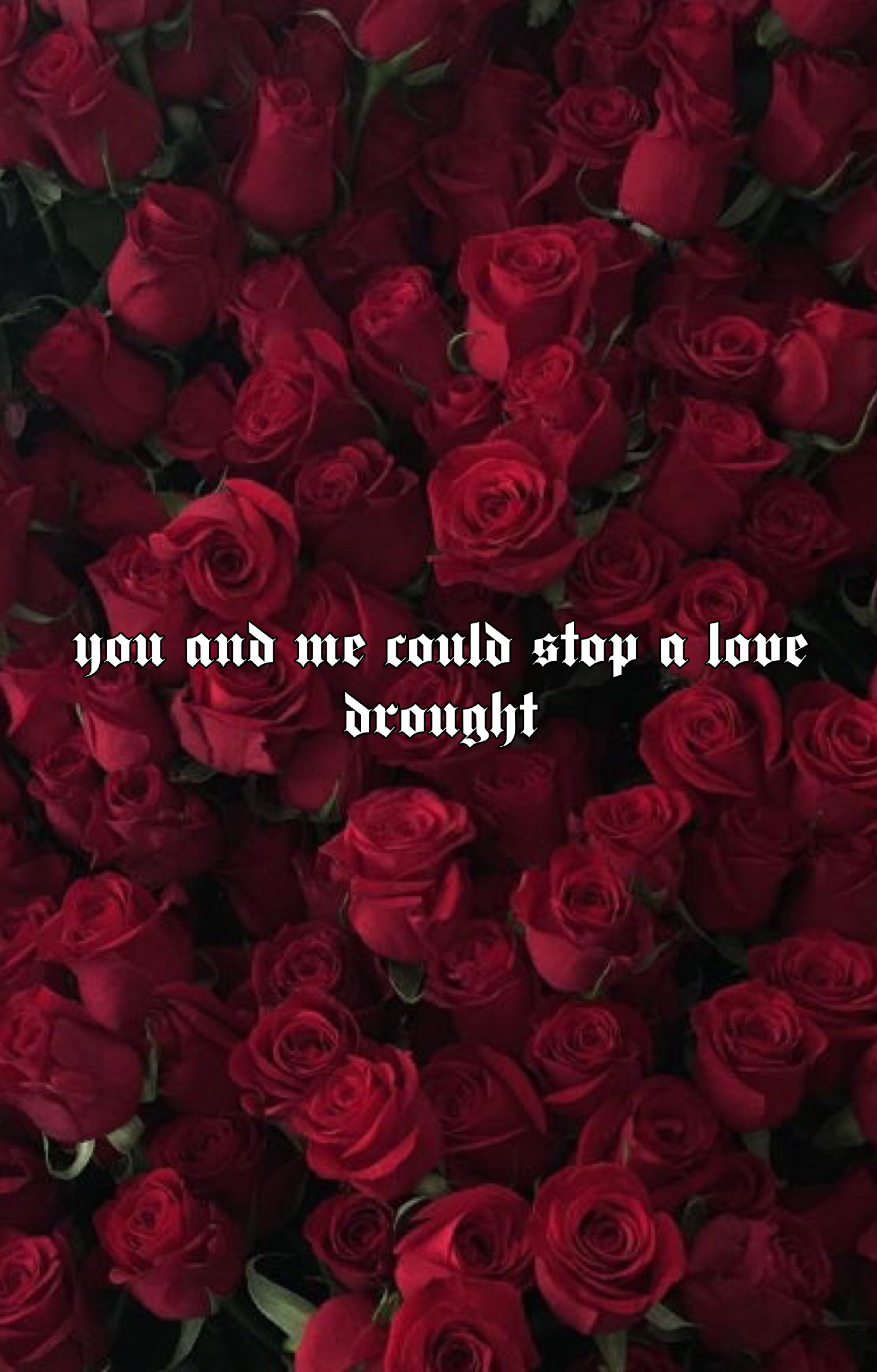 Love Drought Beyonce Wallpaper Aesthetic Roses Red Lyrics