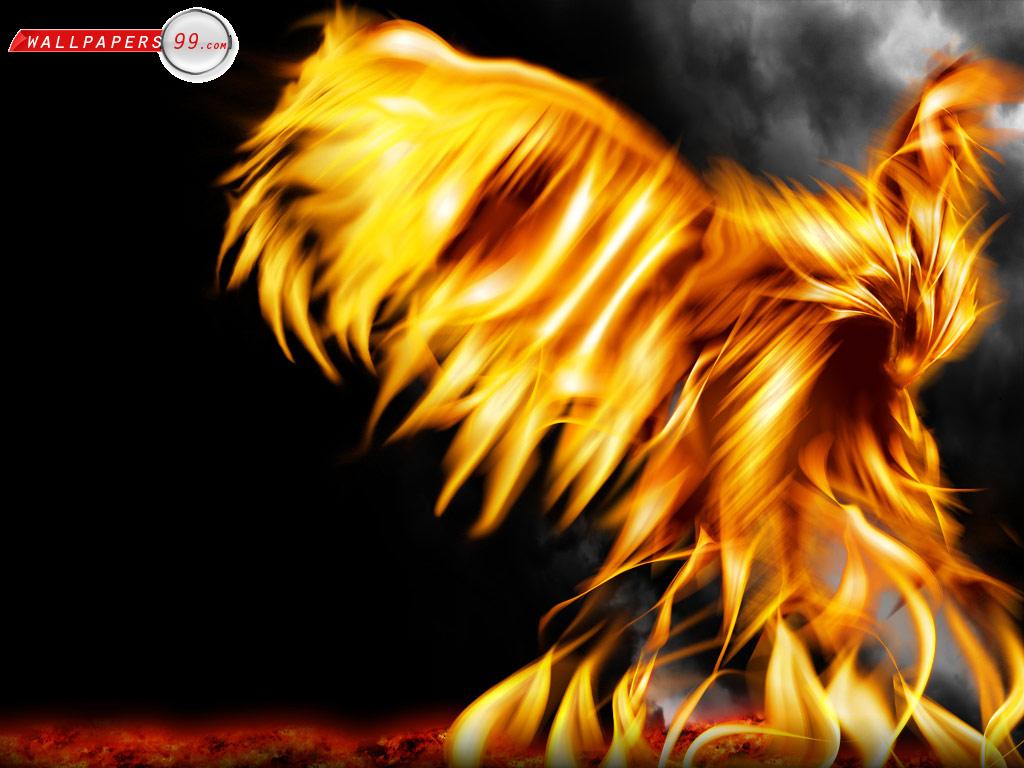 Related Image To Cool Fire Tiger Background