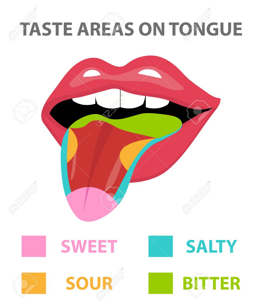 Tongue Map Areas With Receptors Responsible For Taste Flat