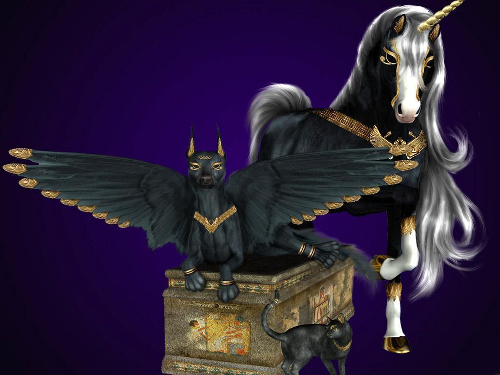 Pegasus Unicorn Fantasy Animals Wallpaper