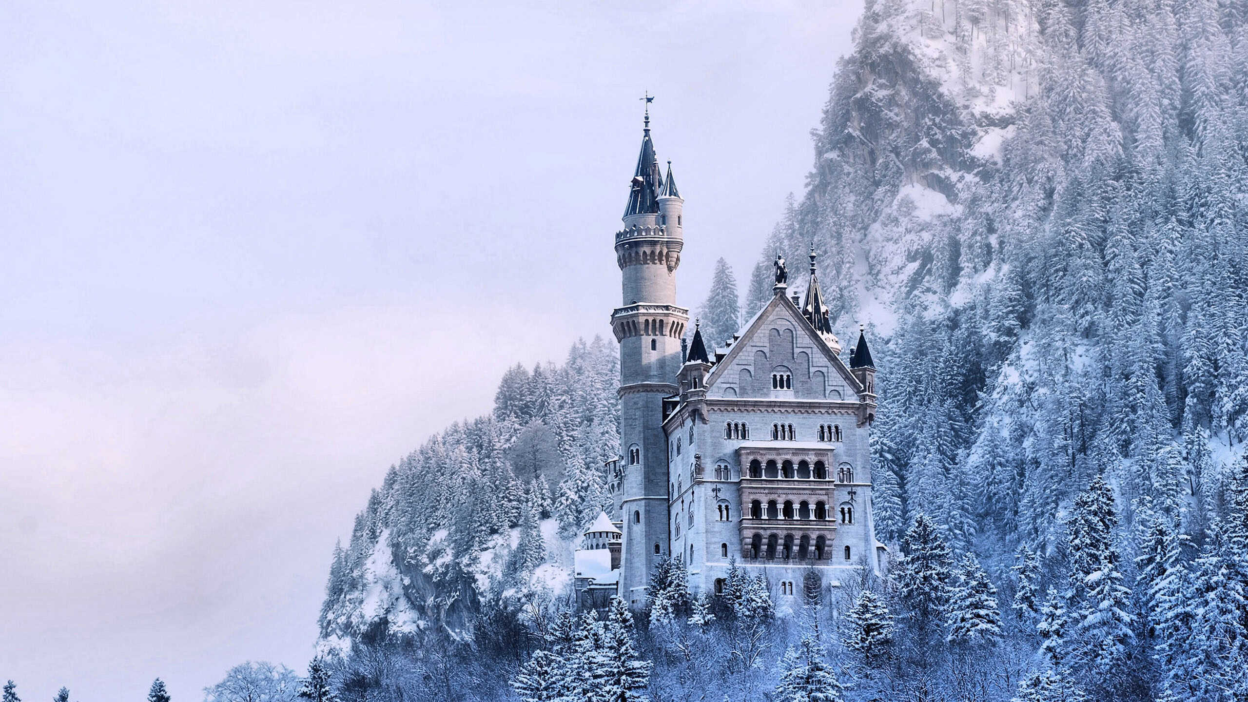 Frozen Background Wallpaper
