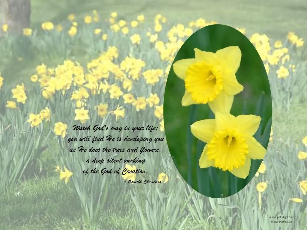 Daffodill Christian Background Photo by frazay99 Photobucket