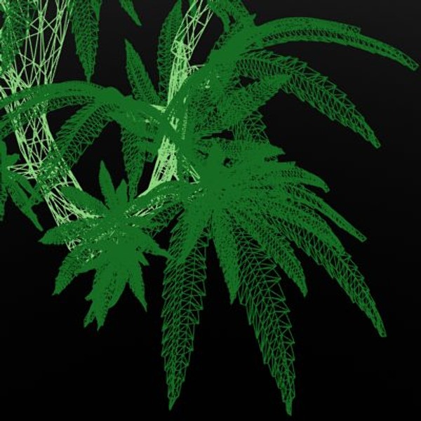 Animated Weed Plant Marijuana