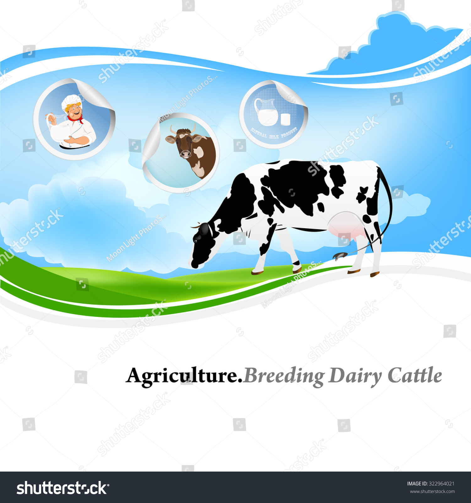 Breeding Dairy Cattleagriculturevector Background Label Stock