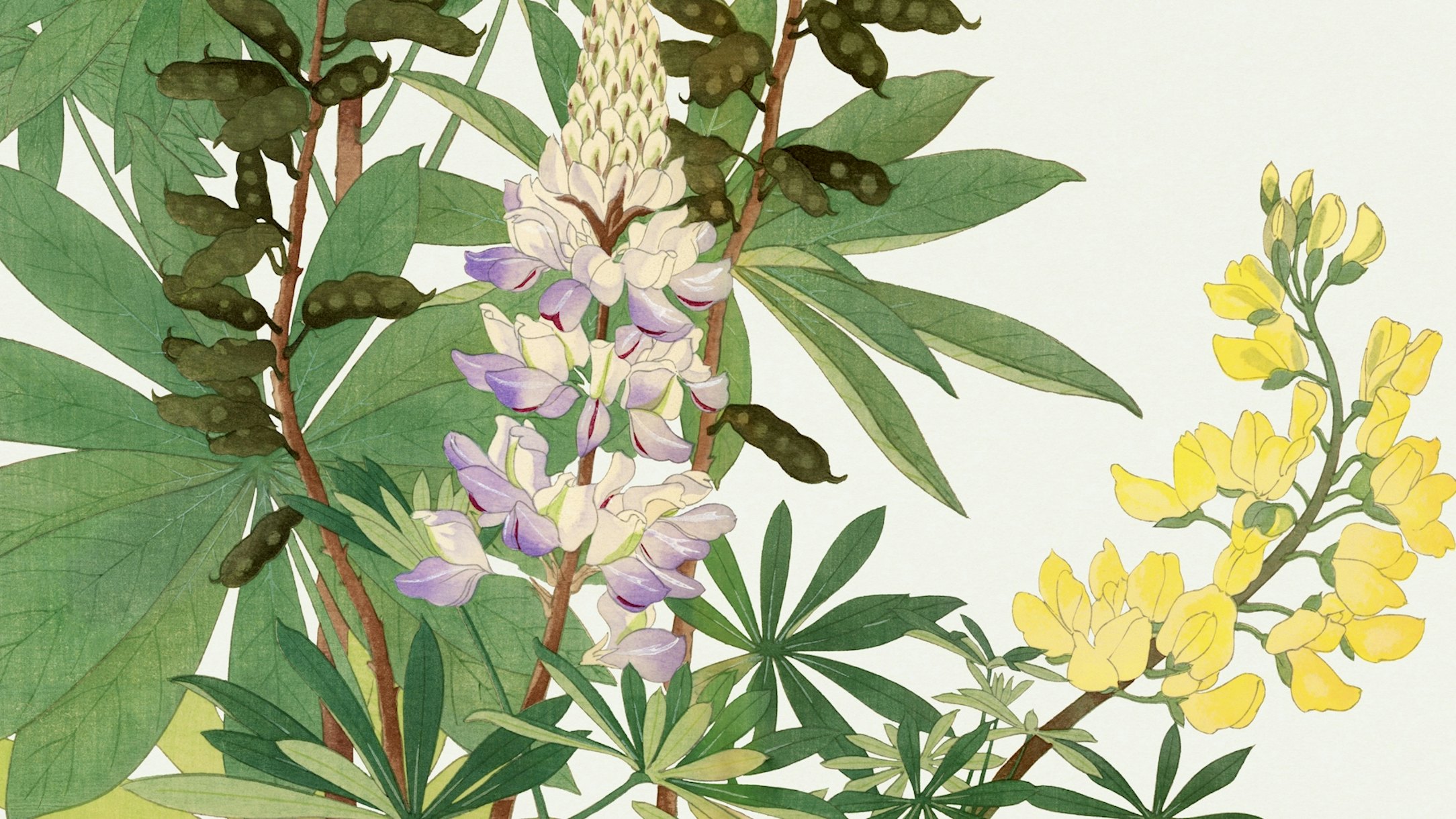 Bring A Vintage Vibe To Your Home With Wild Flower Wallpaper
