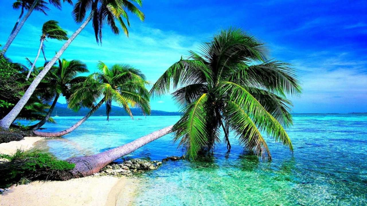 Tropical Beach Wallpaper Pictures For Desktop Background