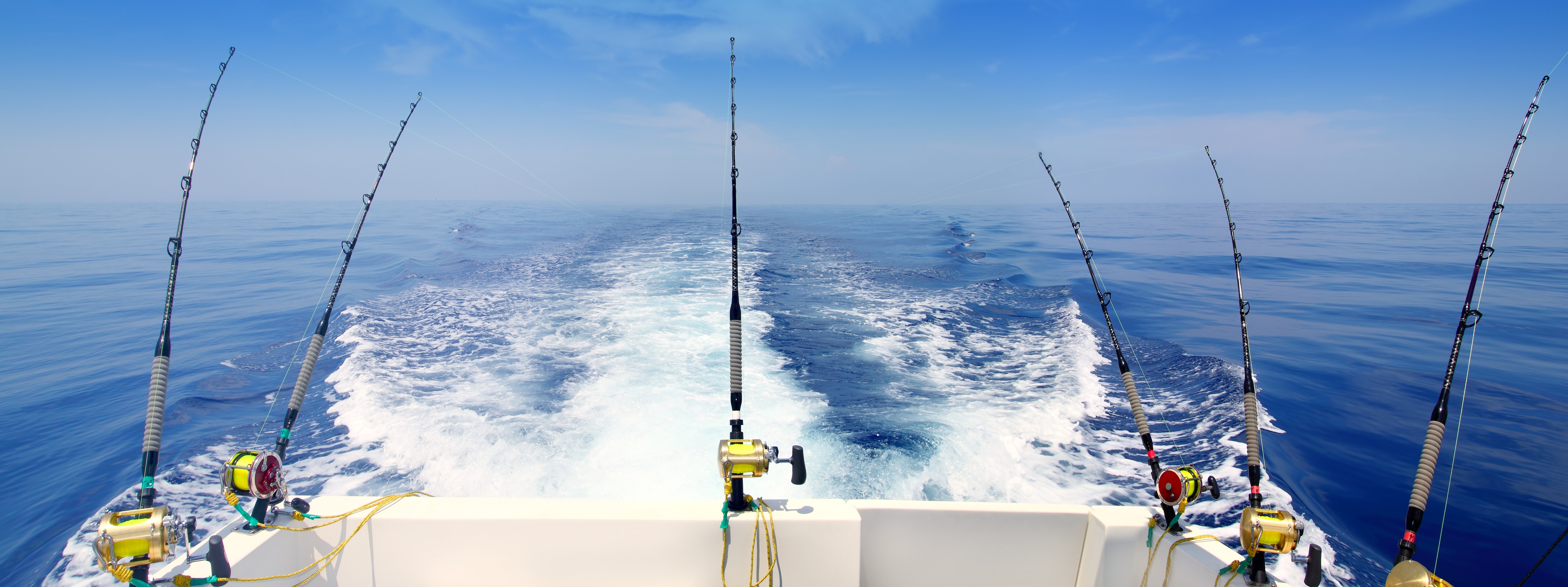 ocean fishing wallpaper