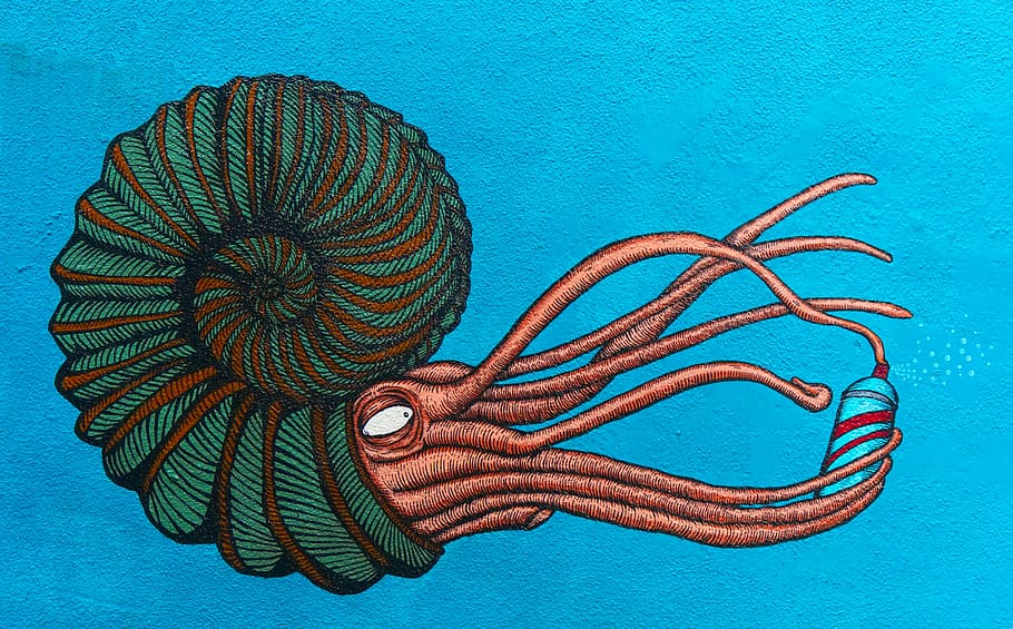 HD Wallpaper Green And Brown Squid With Shell Painting Street