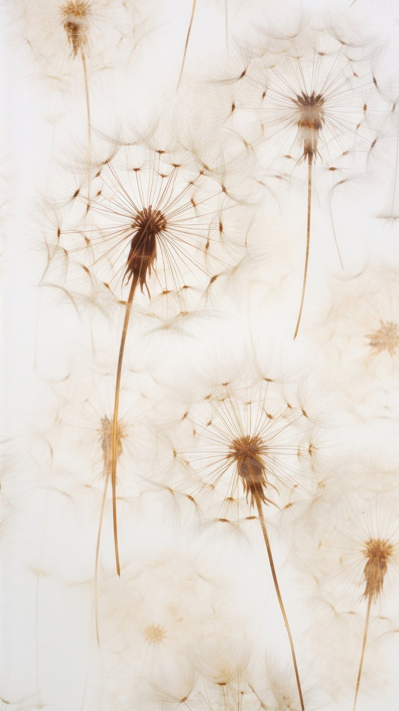 Flower iPhone Wallpaper
