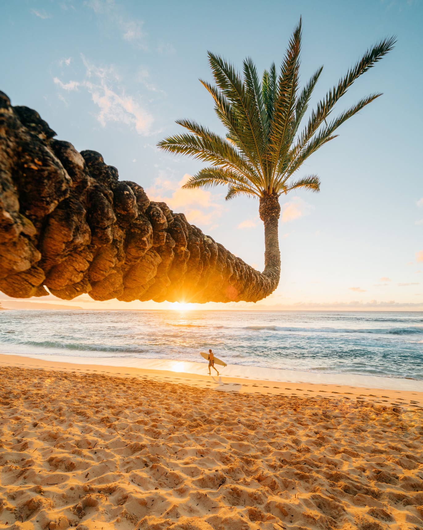 Vlim Sunset Beach Palmtree Compressed Wallpaper