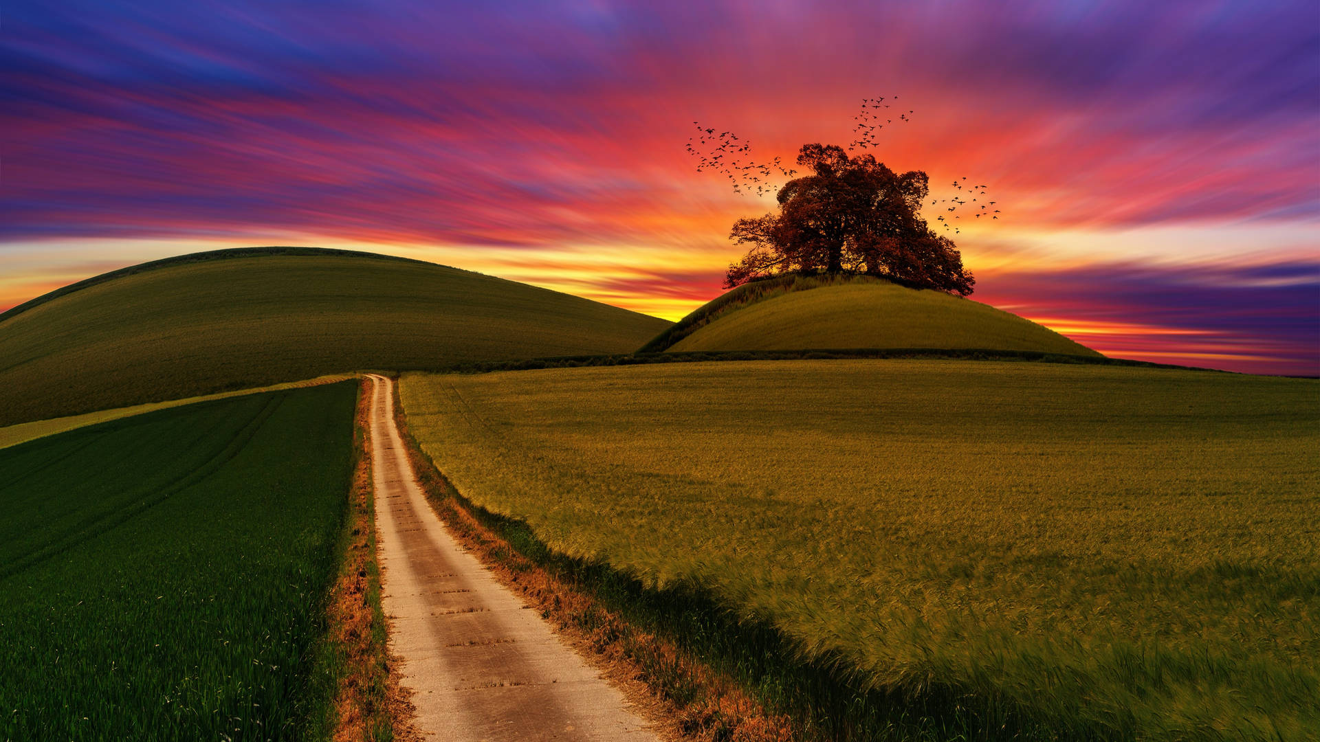 Farm Desktop Wallpaper