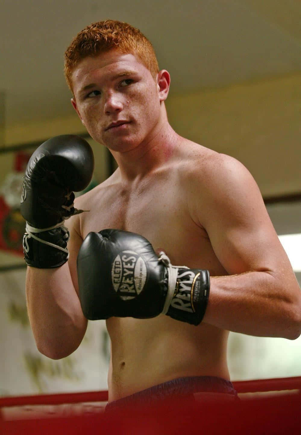Saul Canelo Alvarez Wallpaper
