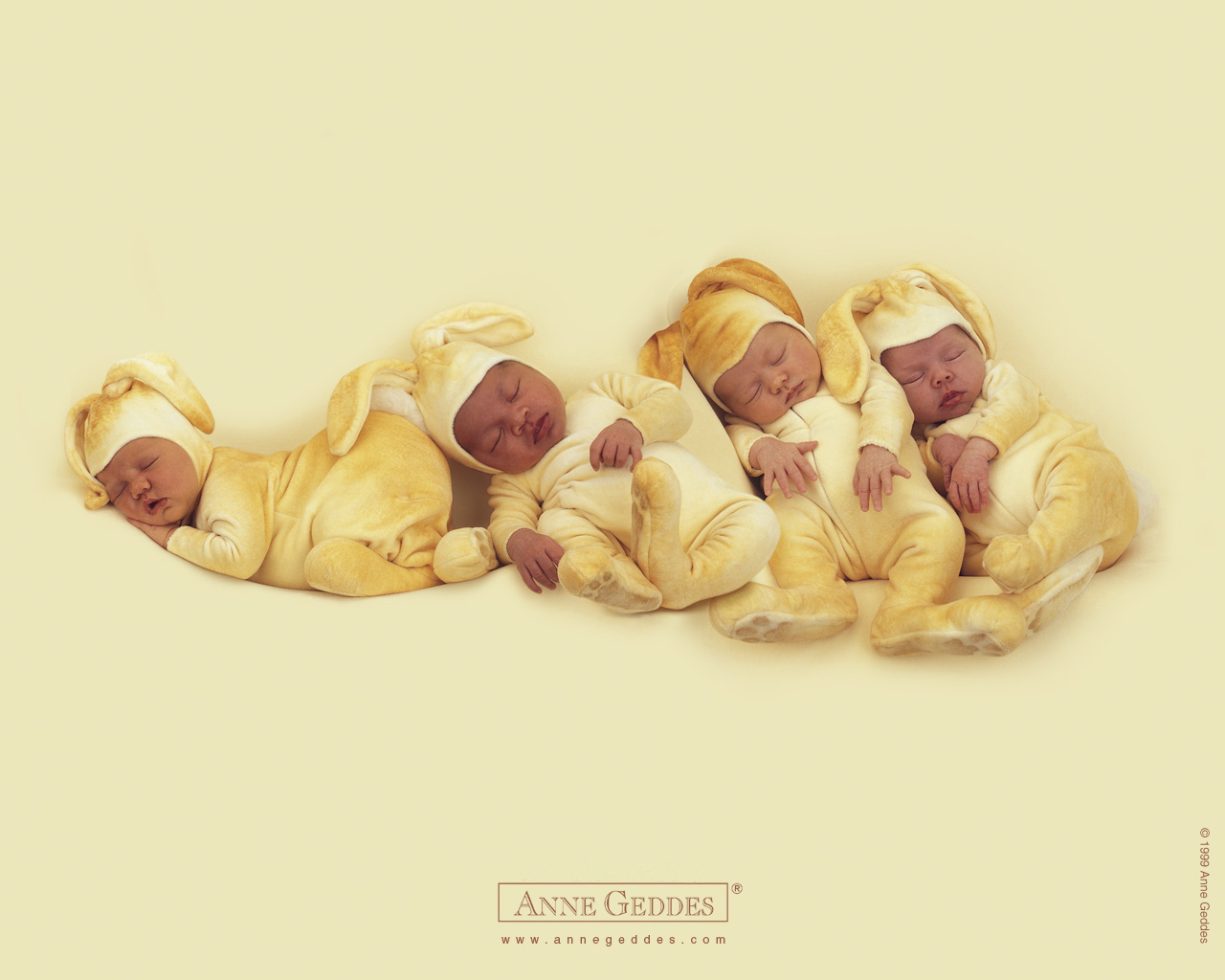 Anne Geddes Wallpaper Babies Color