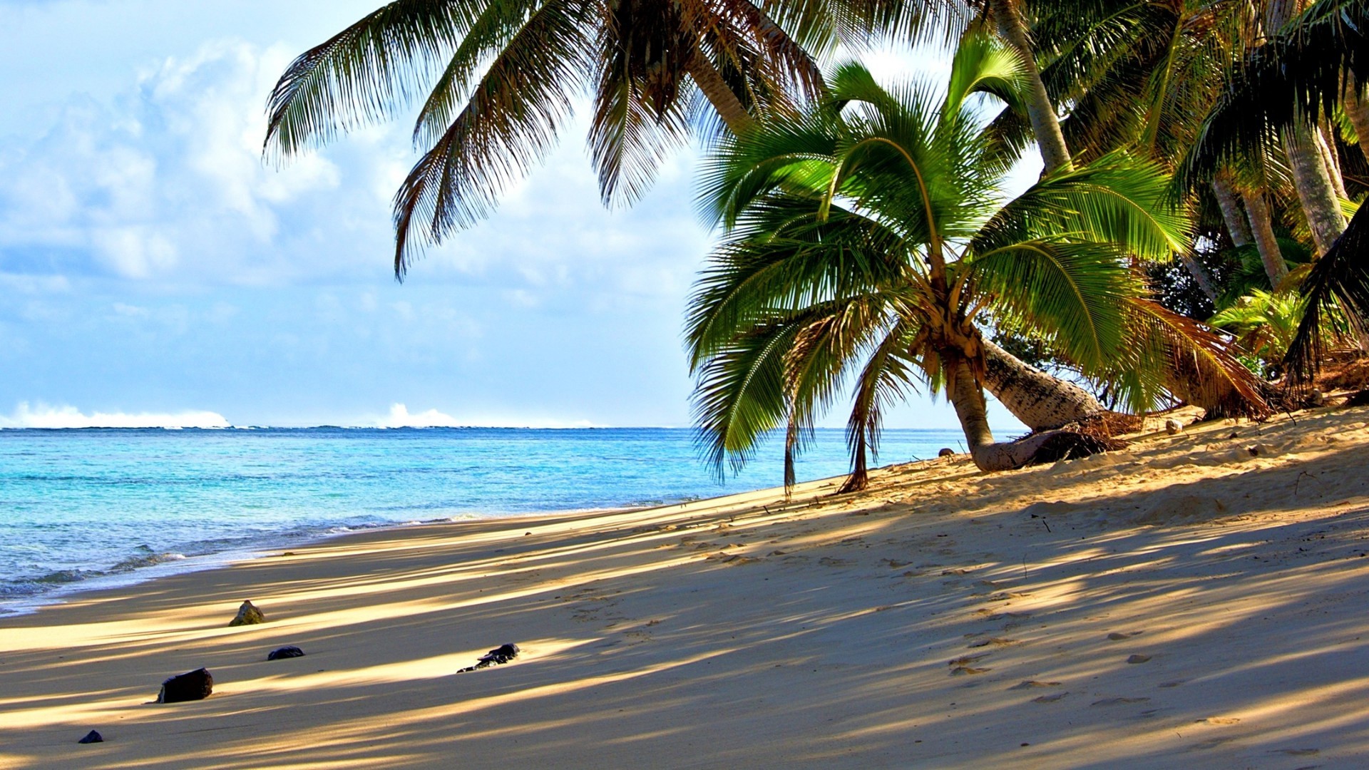 A picturesque tropical beach with palm trees, white sand, and turquoise water, perfect for an island getaway