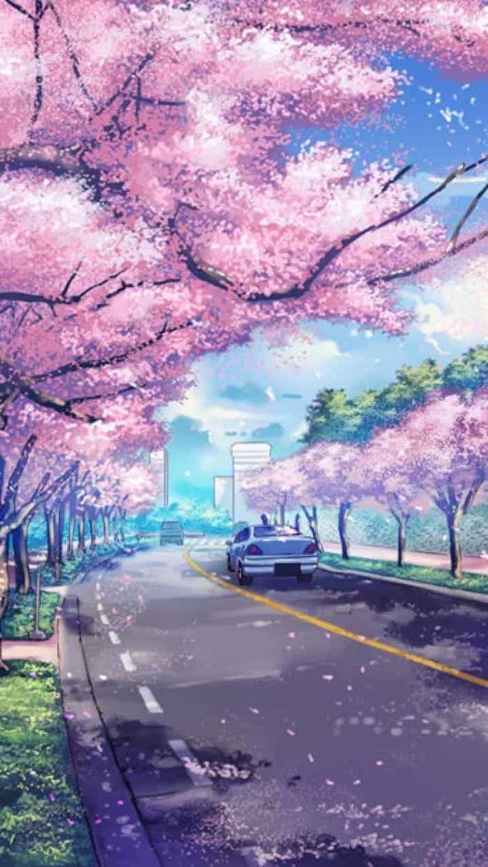 Anime Scenery sakura house japanese spring cherry blossom japan  girl HD wallpaper  Peakpx