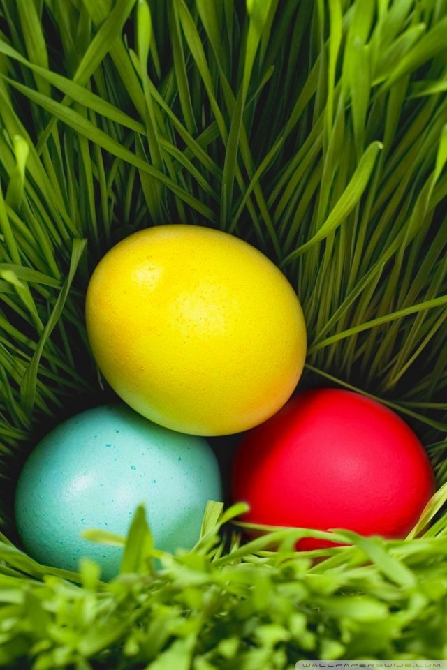 Cute Easter iPhone Wallpaper