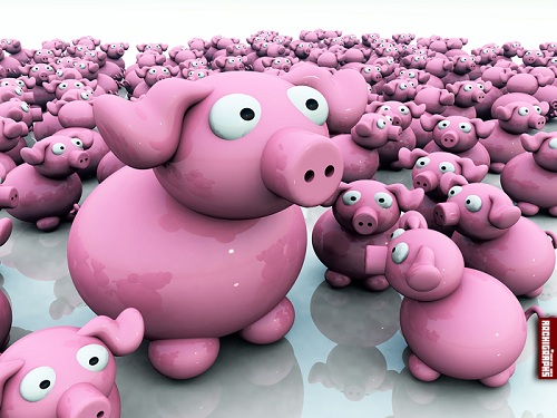 Piggy 3d Wallpaper Set