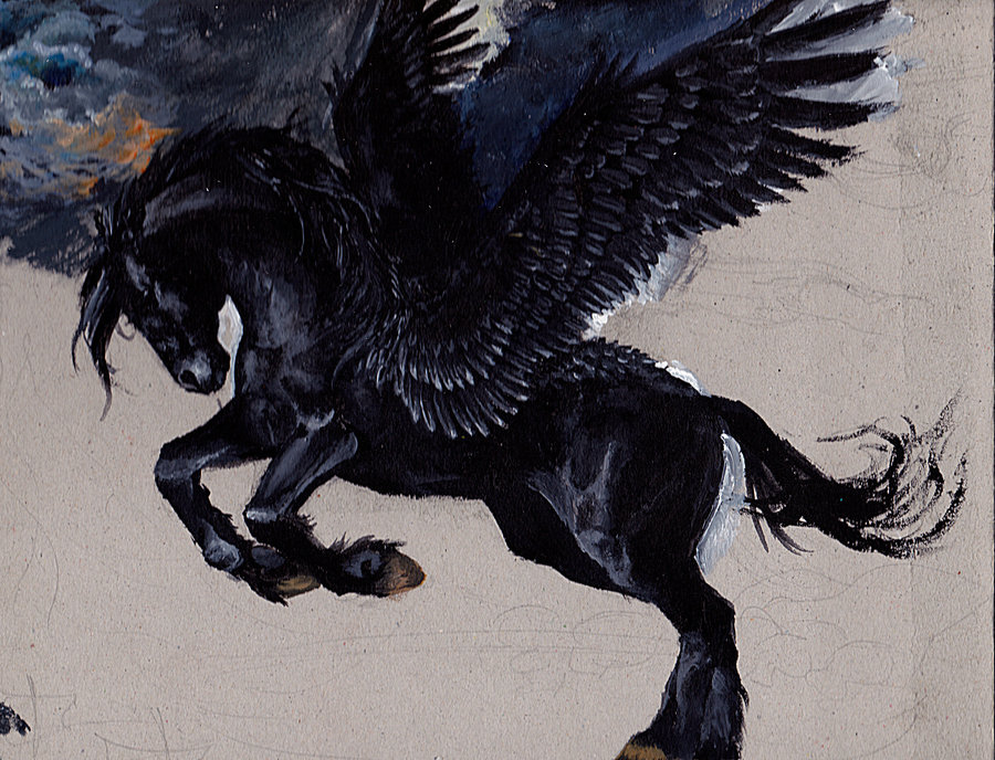 Black Pegasus By Deikochan