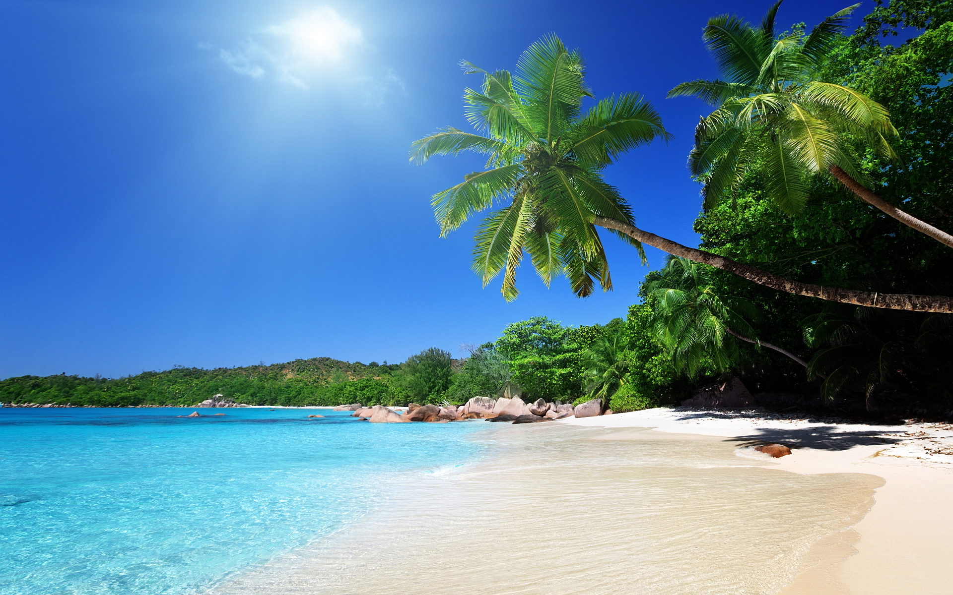 Tropical Carribean Beach Wallpaper